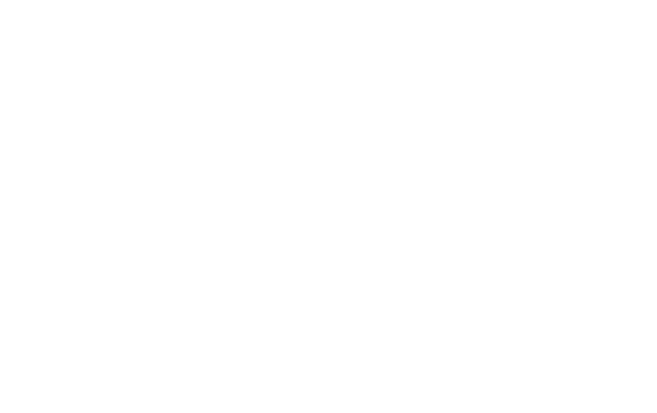 logo-brazilian-times