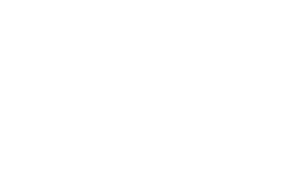 logo-the-boston-globe
